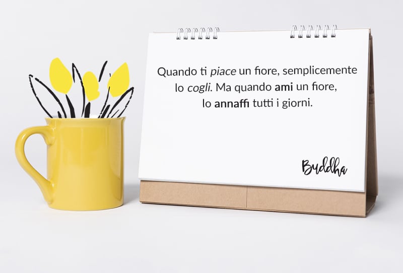 Come organizzarsi con una web designer Come organizzarsi con una web designer
