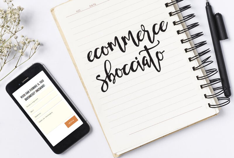 Ecommerce sbocciato, come ti organizzo il negozio online Ecommerce sbocciato, come ti organizzo il negozio online