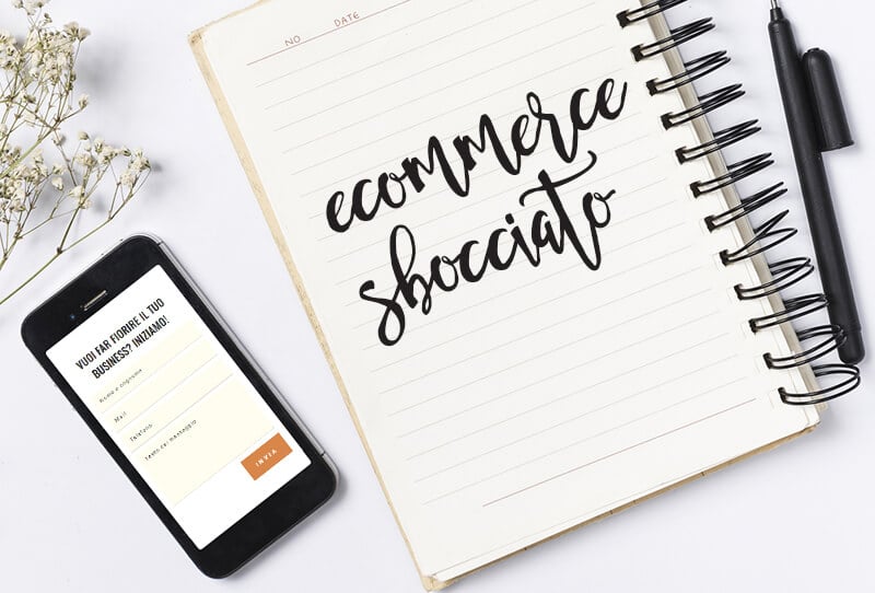 Ecommerce sbocciato, come ti organizzo il negozio online