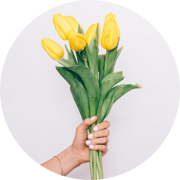 silviamanzoni-lapilla-quiz-newsletter-efficace Silvia Manzoni | Assistente virtuale e web designer